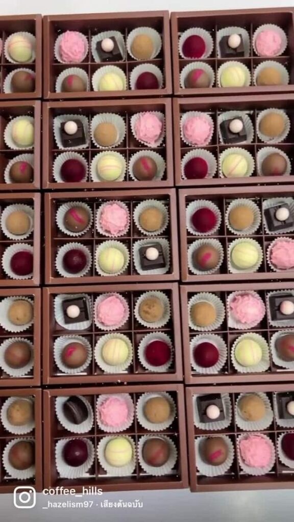 294172385 611671336939430 322716355321133522 n