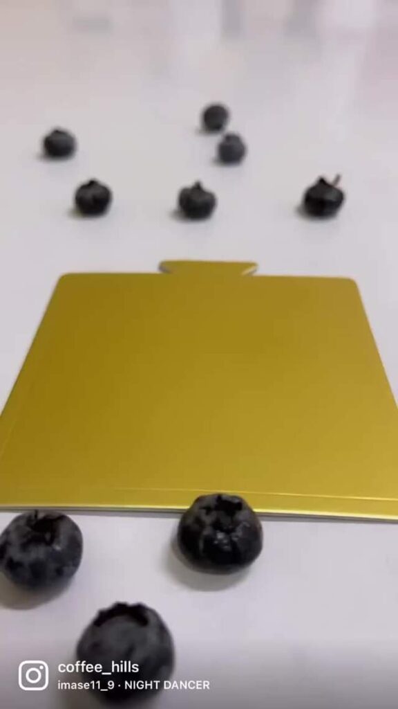 297414922 608151110661344 4055409991871720241 n