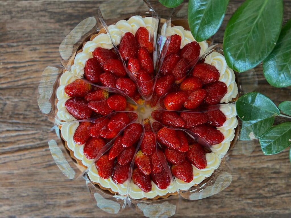 307368824 476248464515950 6443916594546499472 n