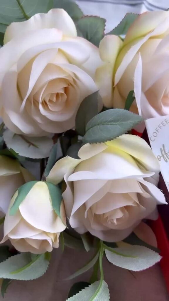 329590784 720679793002808 4573385658558600202 n