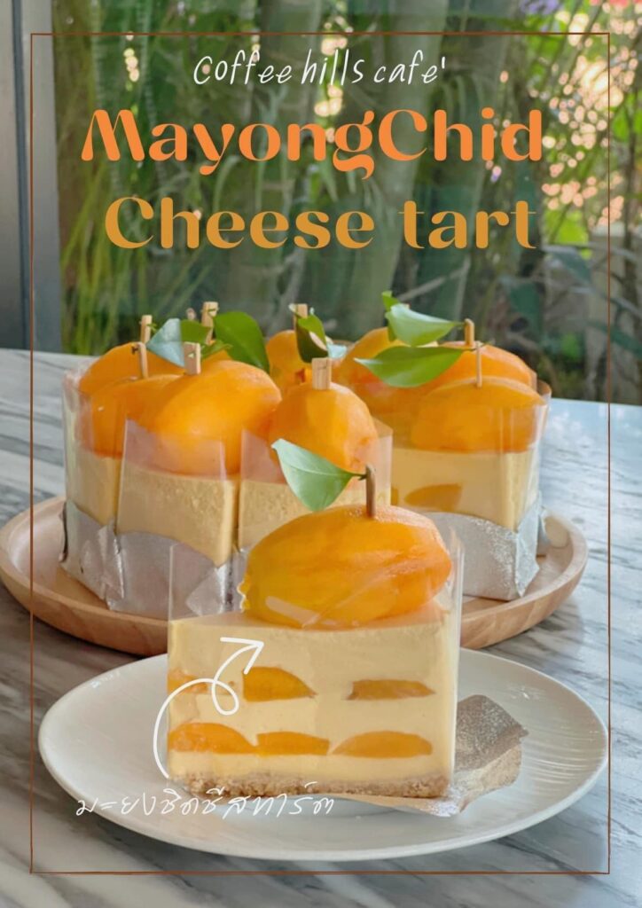 334973914 782334116565349 1890246909145341682 n