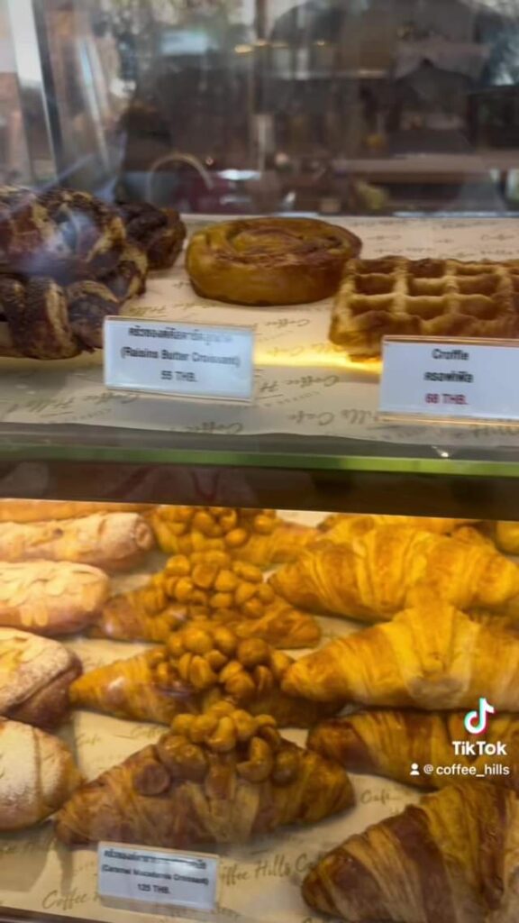 339701170 579329847599205 5700442076927471528 n