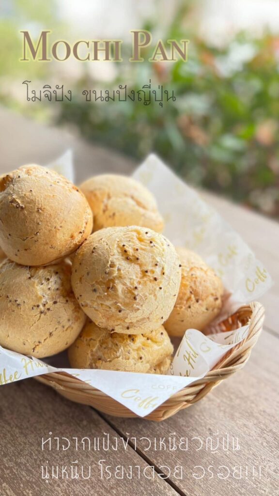 371867354 712806840860110 8098158599104432547 n