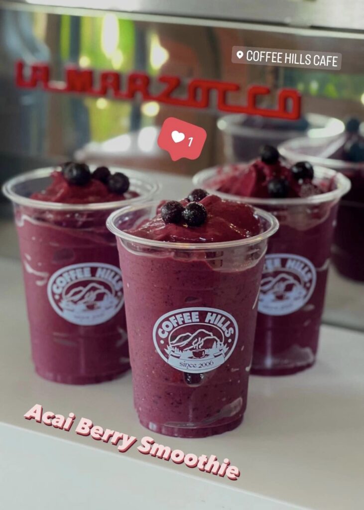 381182844 730481819092612 7831197135238244300 n