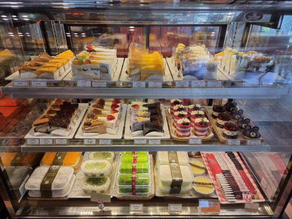 237997581 4870470509634831 6784202638837594089 n