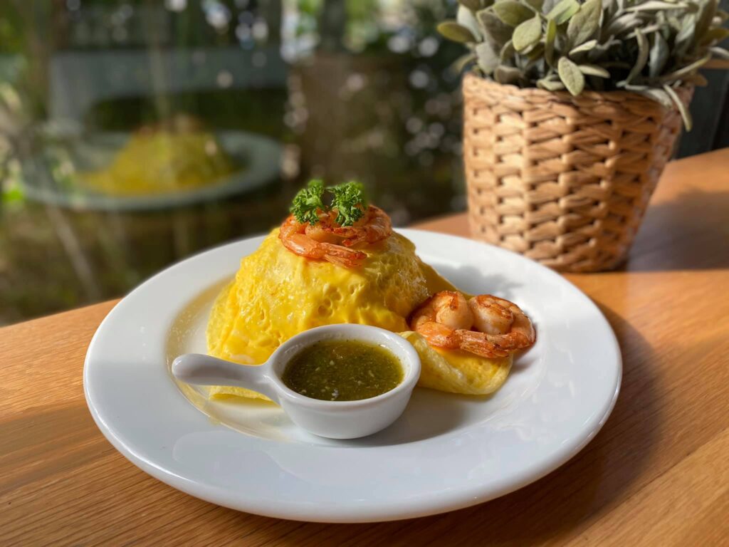 239477165 4879954615353087 7460858064373000647 n