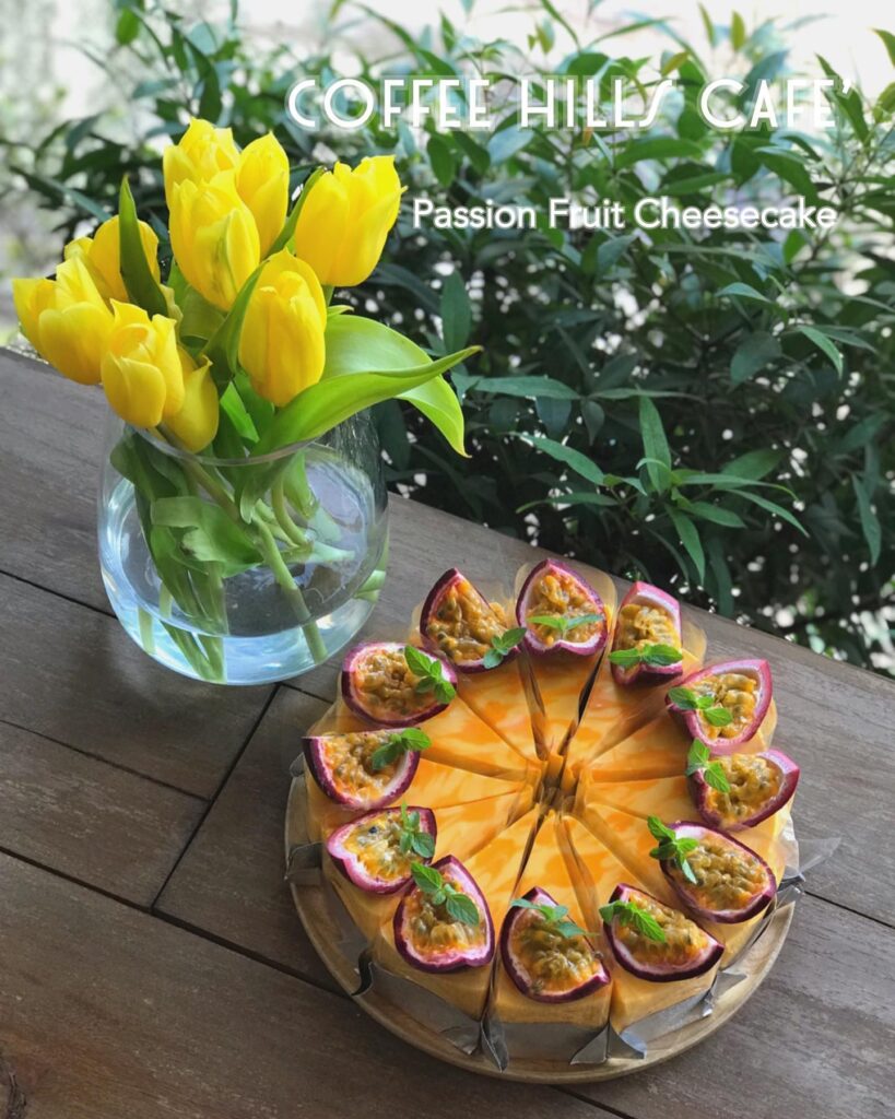 268087526 5273842935964251 7804868211934002471 n