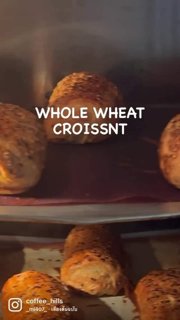 WHOLE WHEAT CROISSANT อบ ใหม่ ทุกเช้า 24 278331557 682011936463446 3470111015736889568 n