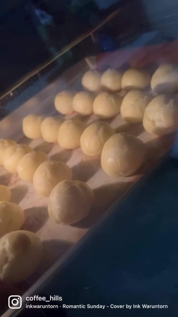 284925773 167376882431179 8049334080289712876 n