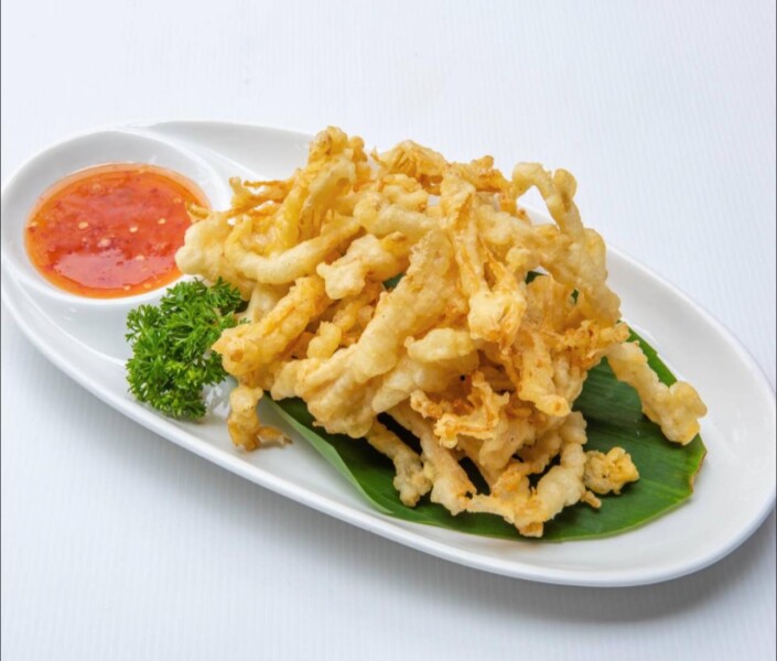 565728687 1273720338102088 6149200067378772801 n