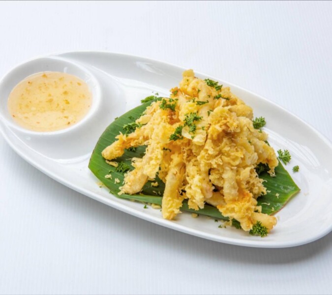 566239986 1273720261435429 6205141140534978379 n