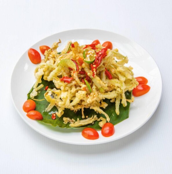 566879172 1273720468102075 3610460573174541310 n