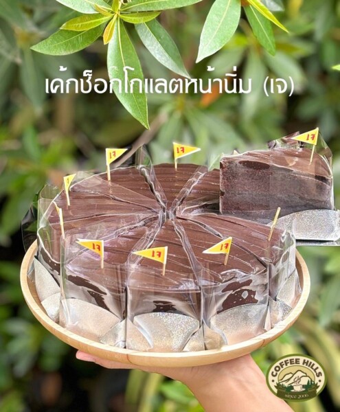 568559514 1273721031435352 6510823526673924964 n