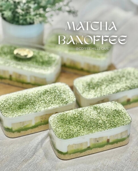 579887029 1293836866090435 1150773024748369319 n