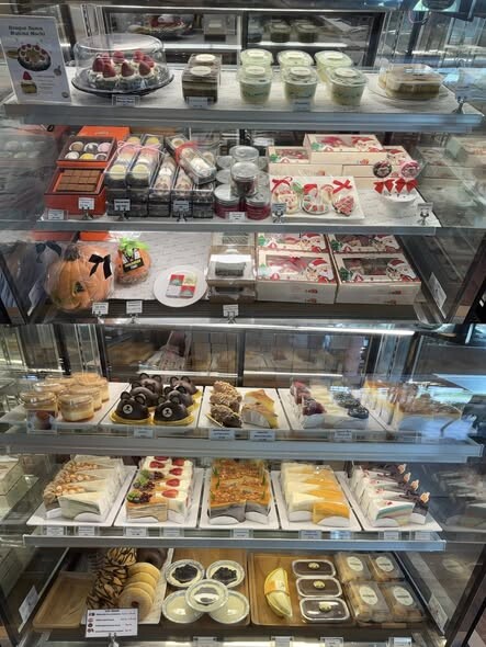 580518939 1293836586090463 7621758842366019771 n