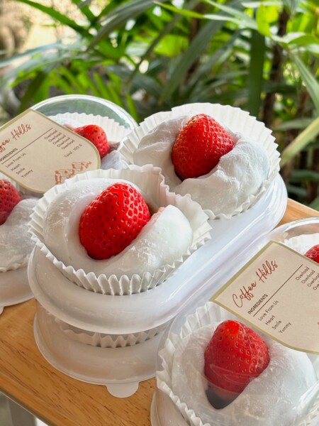 580990160 1293836736090448 9204908636621049370 n