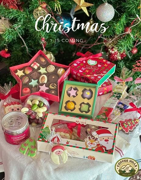 605950685 1327341042740017 5223112374266268784 n