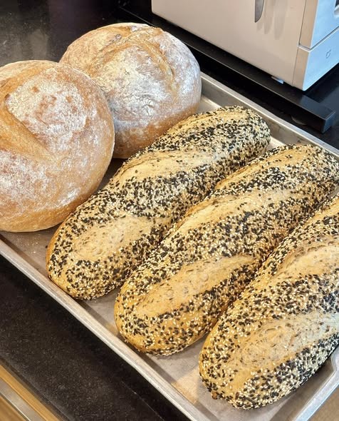 666711146 1413949577412496 4160476688837363810 n